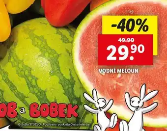 Lidl Vodní meloun nabídka