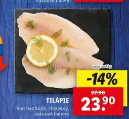 Lidl Tilápie nabídka