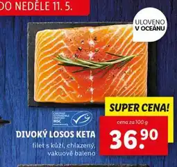 Lidl Divoký losos keta nabídka