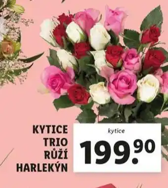 Lidl Kytice trio růží harlekýn nabídka