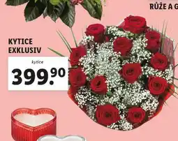 Lidl Kytice exklusiv nabídka