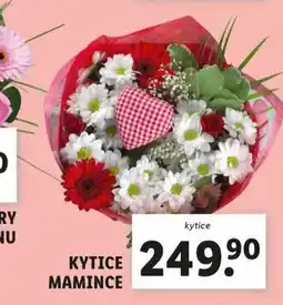 Lidl Kytice mamince nabídka
