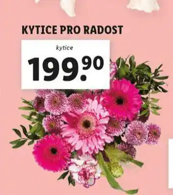 Lidl Kytice pro radost nabídka