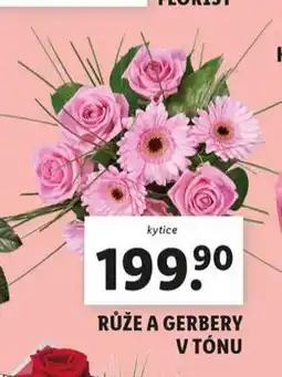 Lidl Růže a gerbery v tónu nabídka