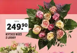 Lidl Kytice růží z lásky nabídka