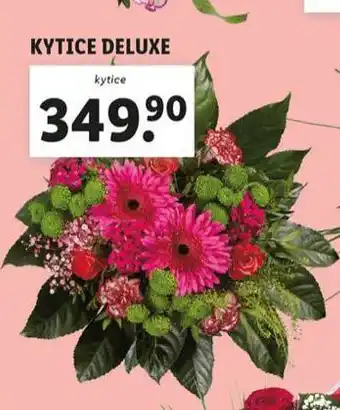 Lidl Kytice deluxe nabídka