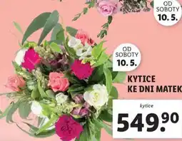 Lidl Kytice ke dni matek nabídka