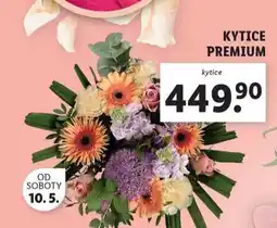 Lidl Kytice premium nabídka