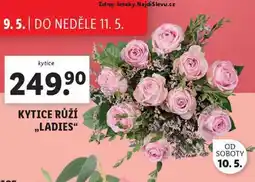 Lidl Kytice růží nabídka
