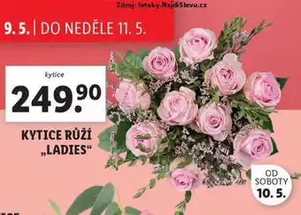 Lidl Kytice růží nabídka