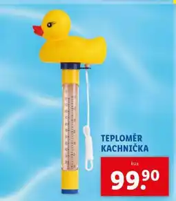 Lidl Teploměr kachnička nabídka