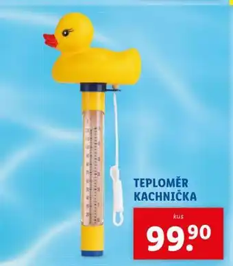 Lidl Teploměr kachnička nabídka