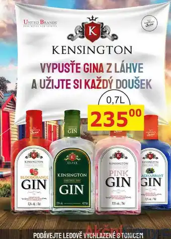 BENE Nápoje KENSINGTON BLACKCURRANT GIN 0,7l nabídka