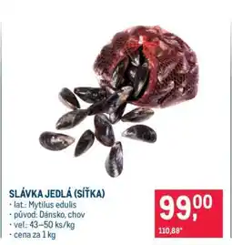 Makro Slávka jedlá (síťka) nabídka