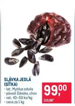 Makro Slávka jedlá (síťka) nabídka