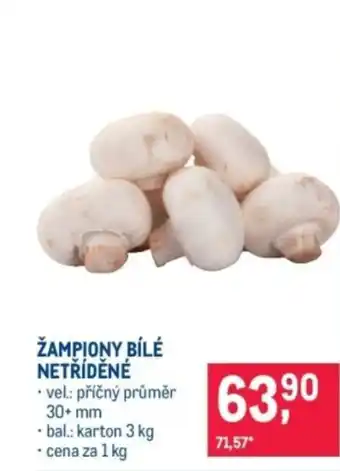 Makro Žampiony bílé netříděné nabídka