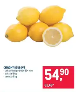 Makro Citrony džusové nabídka