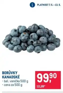 Makro Borůvky kanadské nabídka