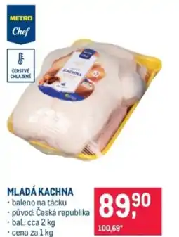 Makro Mladá kachna nabídka