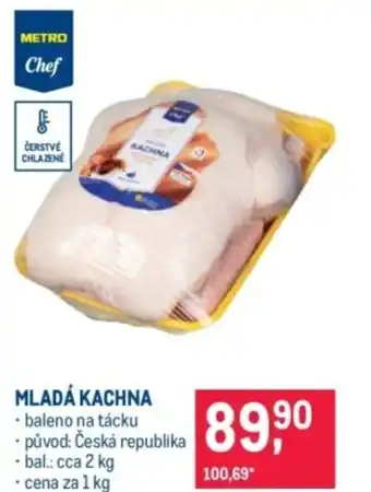 Makro Mladá kachna nabídka