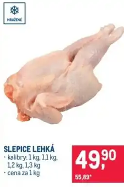 Makro Slepice lehká nabídka