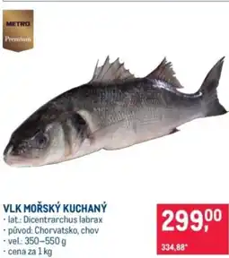 Makro Vlk mořský kuchaný nabídka