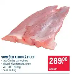 Makro Sumeček africký filet nabídka