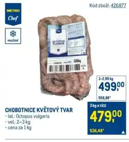 Makro Chobotnice květový tvar nabídka