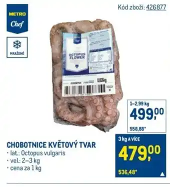 Makro Chobotnice květový tvar nabídka