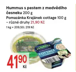 Žabka Hummus s pestem z medvědího česneku nabídka