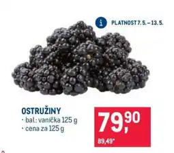 Makro Ostružiny nabídka
