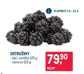 Makro Ostružiny nabídka