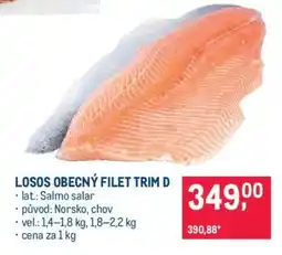 Makro Losos obecný filet trim D nabídka