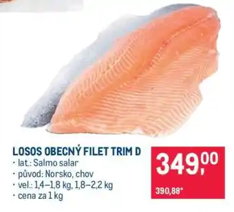 Makro Losos obecný filet trim D nabídka