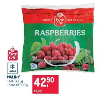Makro Maliny nabídka