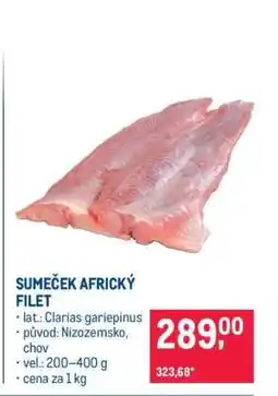 Makro Sumeček africký filet nabídka