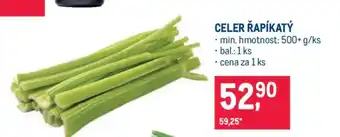 Makro Celer řapíkatý nabídka