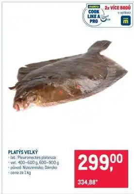 Makro PLATÝS VELKÝ nabídka