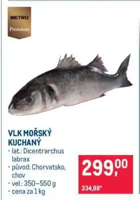 Makro Vlk mořský kuchaný nabídka