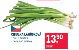 Makro CIBULKA LAHŮDKOVÁ nabídka