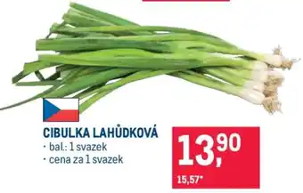 Makro CIBULKA LAHŮDKOVÁ nabídka