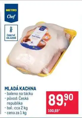 Makro MLADÁ KACHNA nabídka