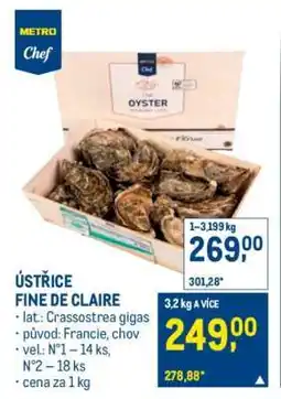 Makro Ústřice Fine de Claire nabídka