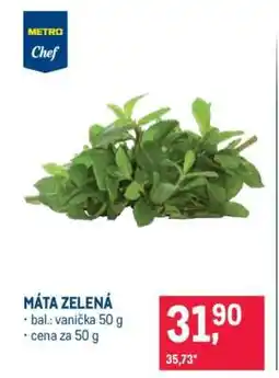 Makro Máta zelená nabídka