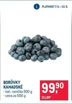 Makro Borůvky kanadské nabídka