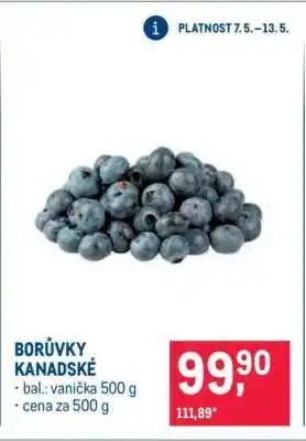 Makro Borůvky kanadské nabídka