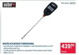 Makro DIGITÁLNÍ KAPESNÍ TERMOSONDA nabídka