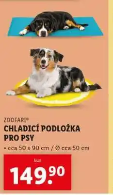 Lidl ZOOFARI Chladicí podložka pro psy nabídka