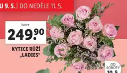 Lidl KYTICE RŮŽÍ „LADIES“ nabídka