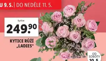 Lidl KYTICE RŮŽÍ „LADIES“ nabídka